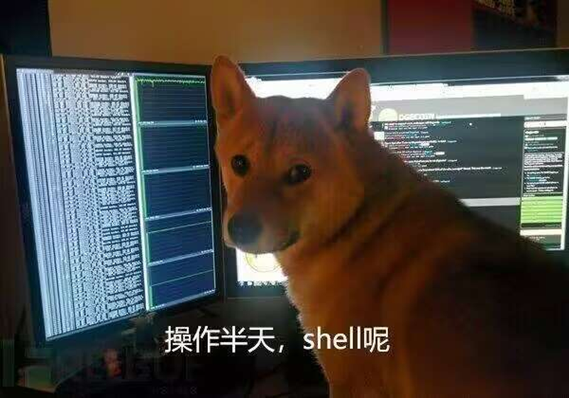 image-20250731020620535
